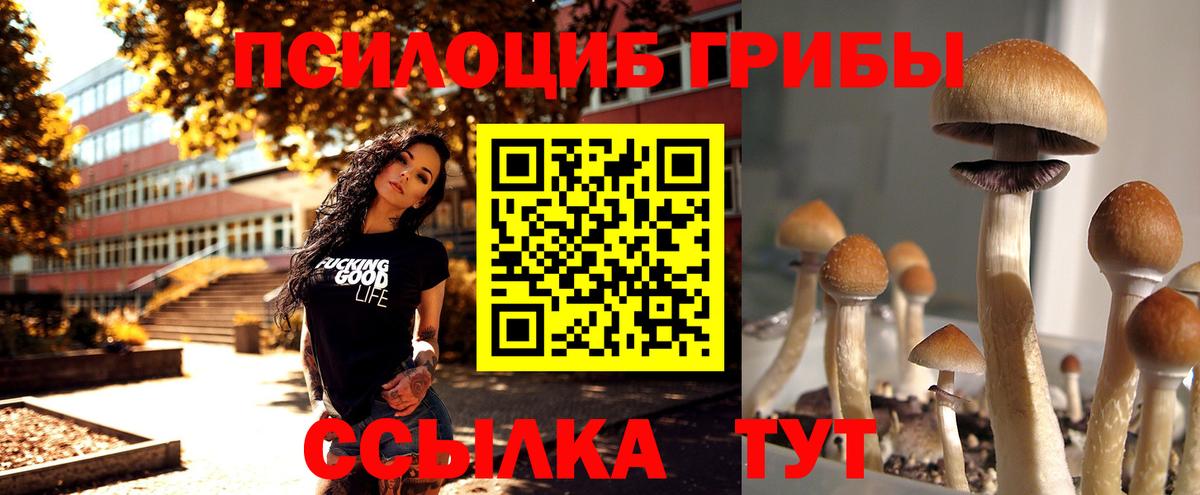 Вятские Поляны  Галлюциногенные грибы мухоморы  Вход с VPN 